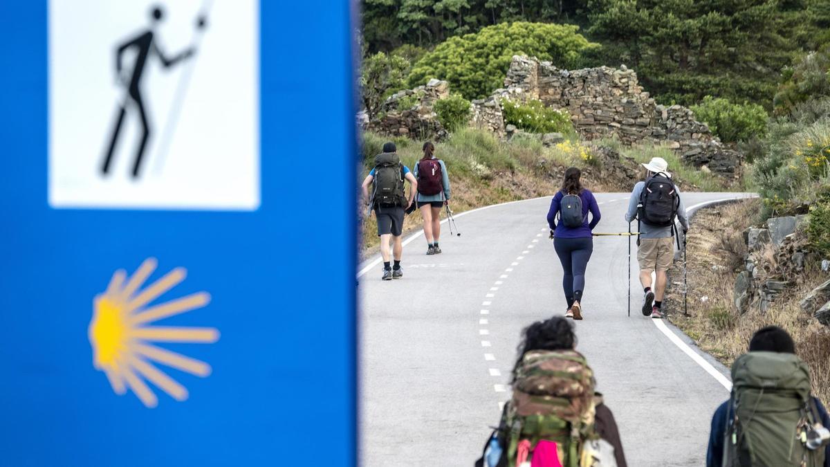 Imagen de recurso de un conjunto de peregrinos del Camino de Santiago. Imagen de recurso de un conjunto de peregrinos del Camino de Santiago.