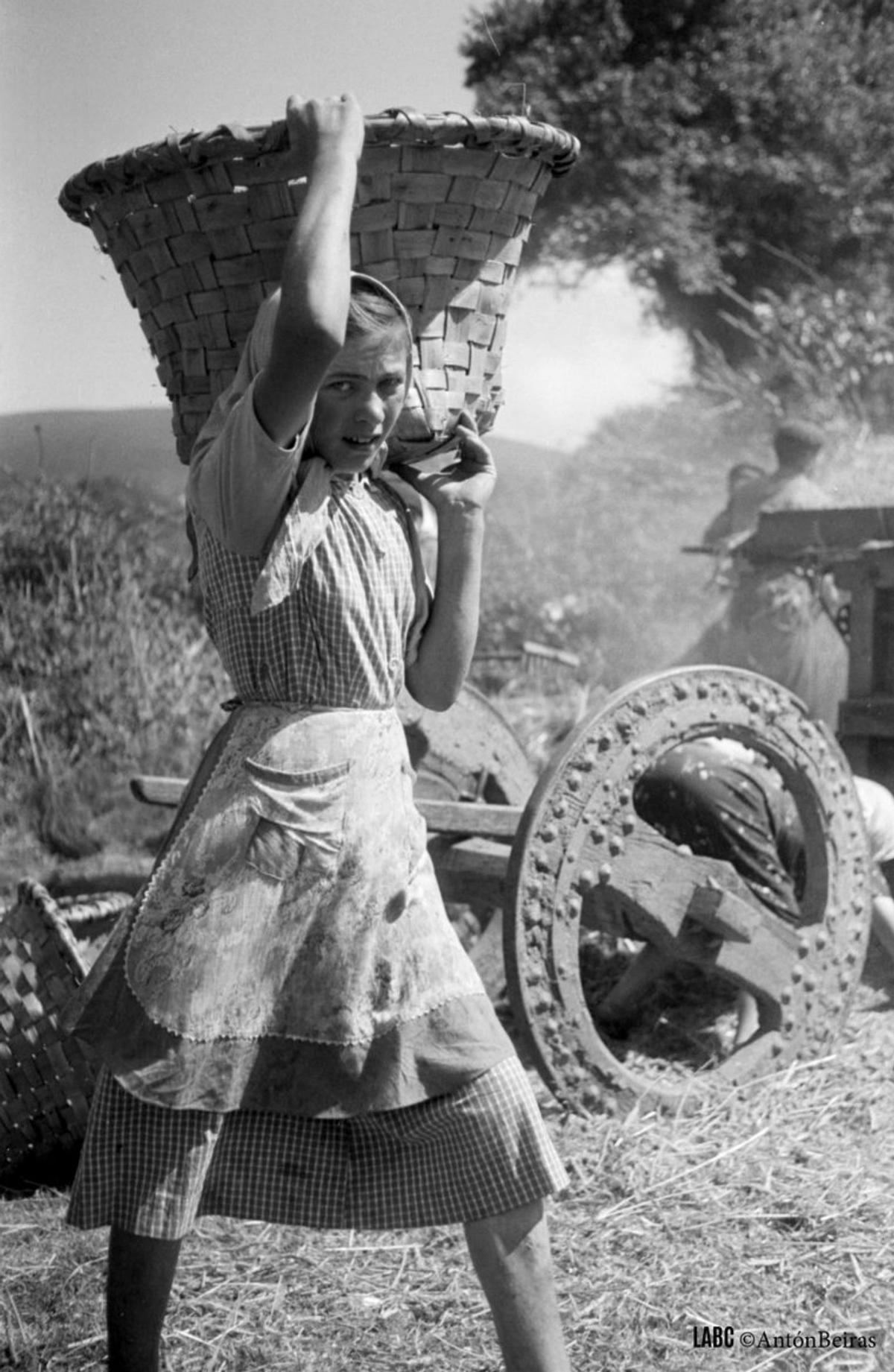 70 anos dun tesouro fotográfico inédito