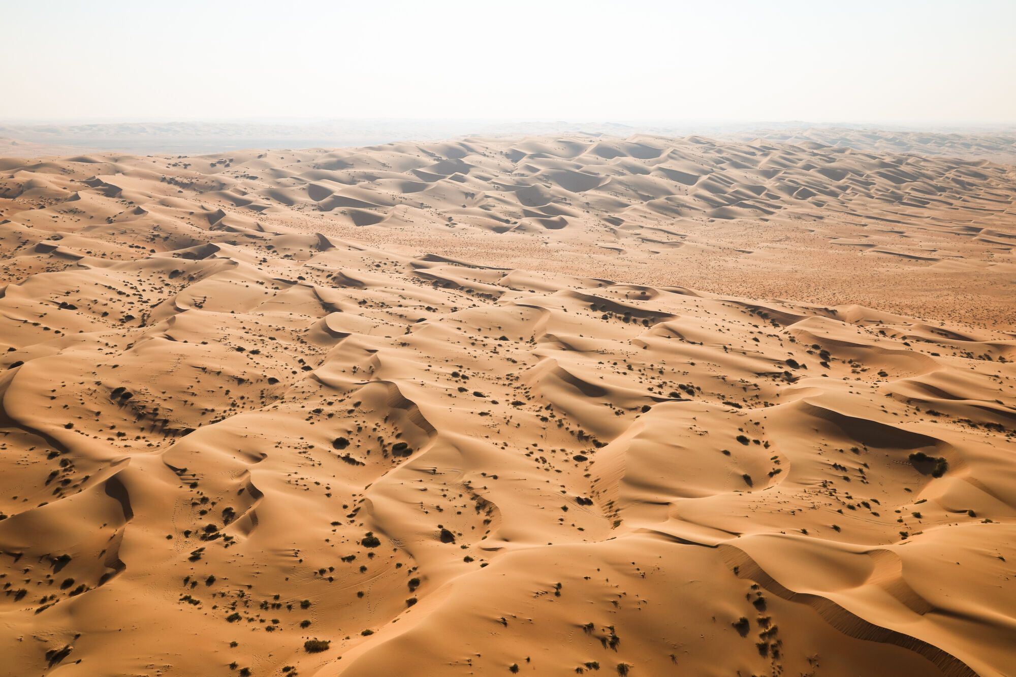 Landscape of dunes, sand, sable during the Stage 10 of the Dakar 2025 on January 15, 2025 between Haradh and Subaytah, Saudi Arabia - Photo Florent Gooden / DPPI AFP7 15/01/2025 ONLY FOR USE IN SPAIN. FLORENT GOODEN / DPPI Media / AFP7 / Europa Press;Auto;DAKAR;Motorsport;rally;RALLY-RAID;SAUDI ARABIA;DAKAR 2025 - STAGE 10;