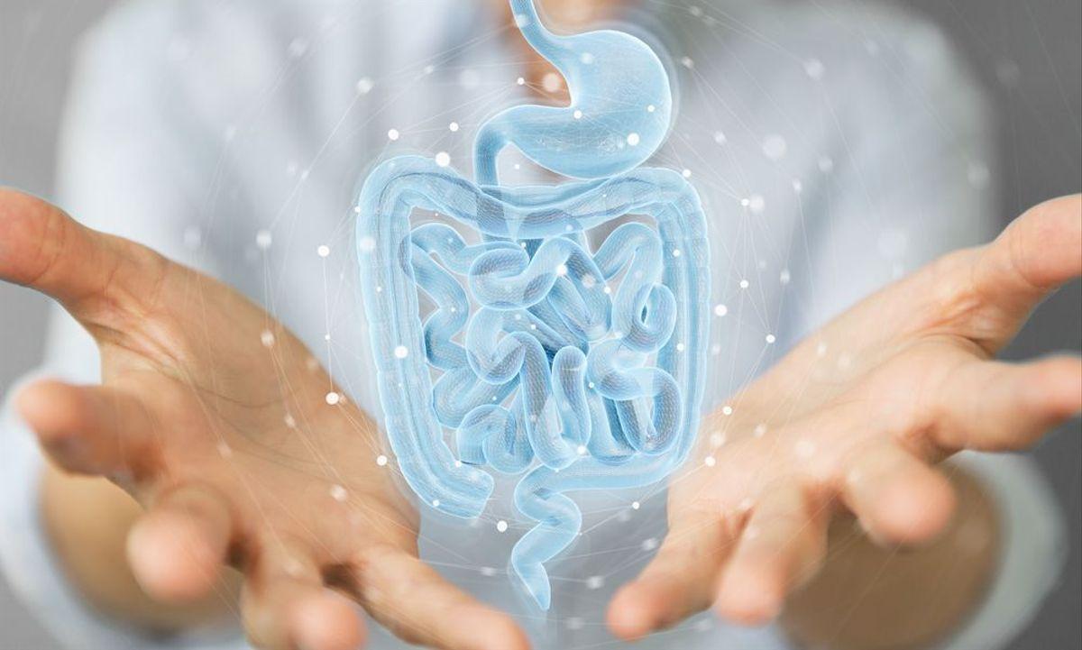 Casi 360.000 españoles tiene enfermedad inflamatoria intestinal.