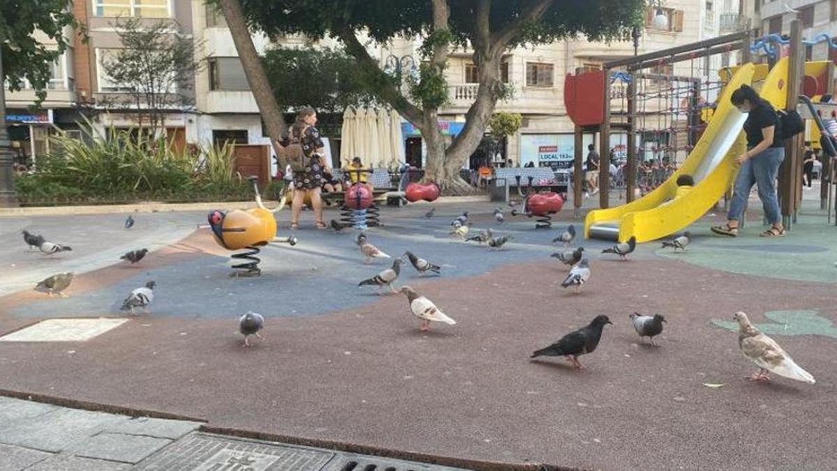Parque infantil lleno de palomas