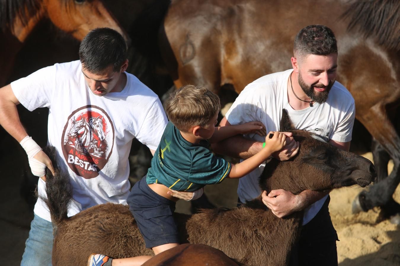 Las imágenes de la Rapa das Bestas de Sabucedo