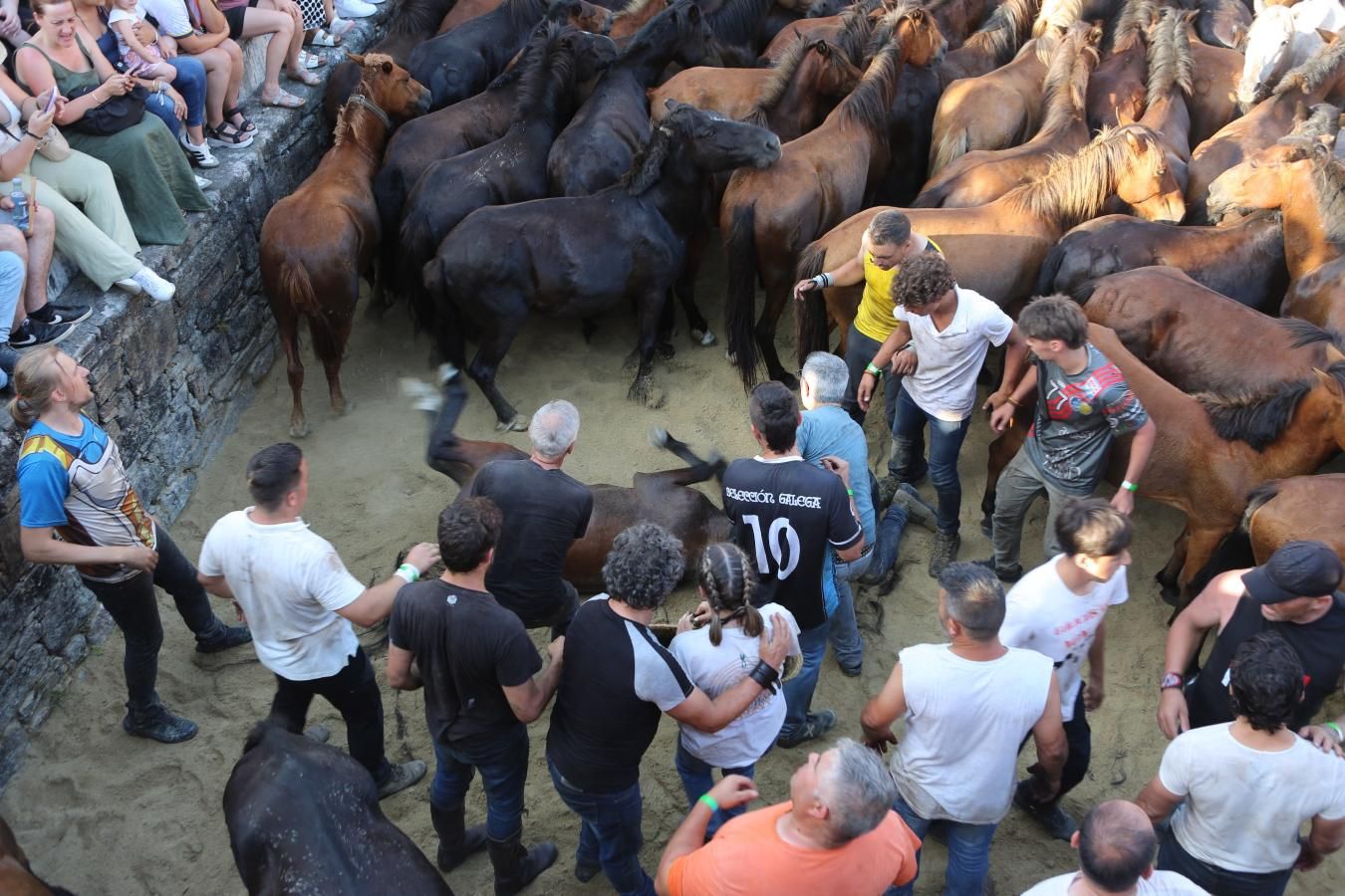 Las imágenes de la Rapa das Bestas de Sabucedo
