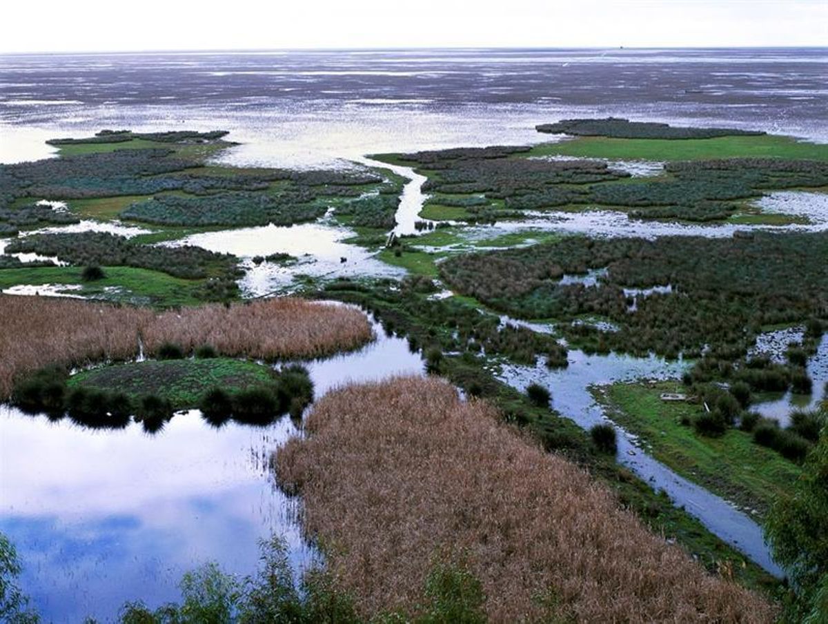Imagen del Espacio Natural de Doñana, en la provincia de Huelva.