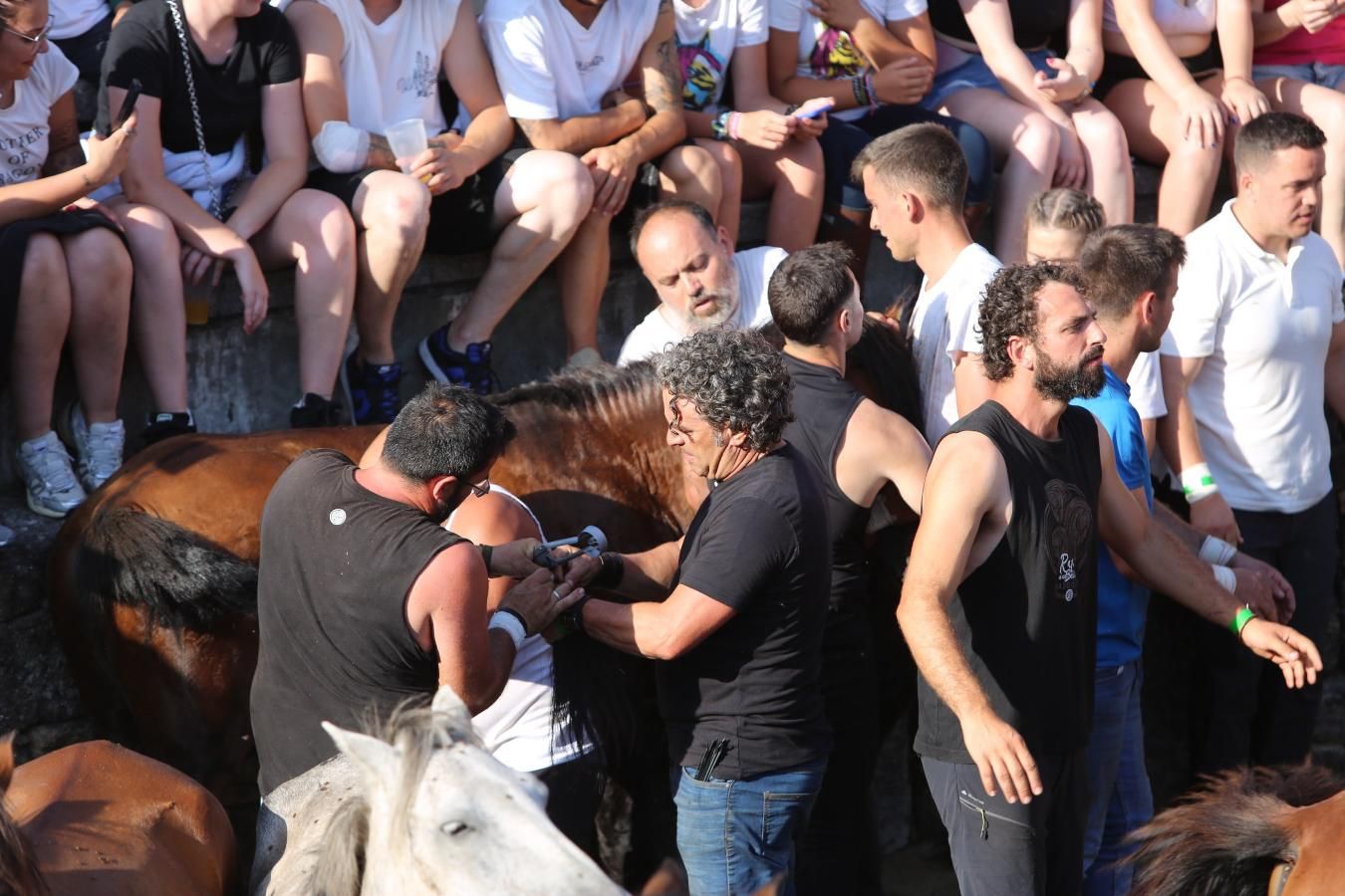 Las imágenes de la Rapa das Bestas de Sabucedo