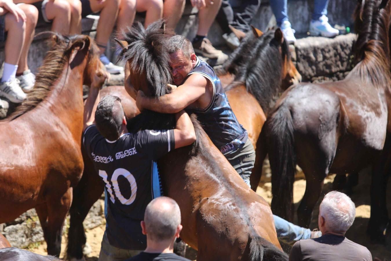 Las imágenes de la jornada de domingo de la Rapa das Bestas