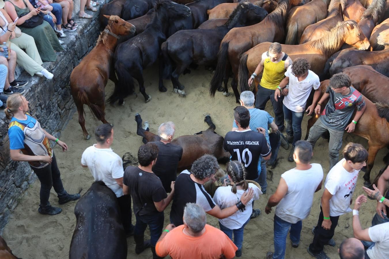 Las imágenes de la Rapa das Bestas de Sabucedo