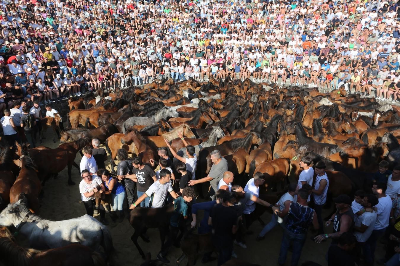 Las imágenes de la Rapa das Bestas de Sabucedo