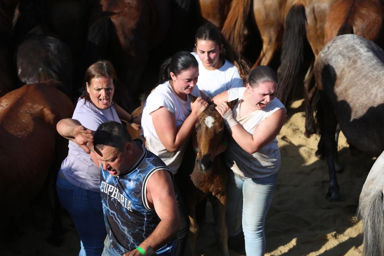 Las imágenes de la Rapa das Bestas de Sabucedo