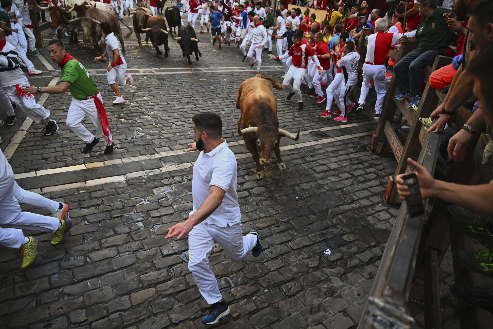 Cuarto encierro de los Sanfermines 2025, en imágenes.