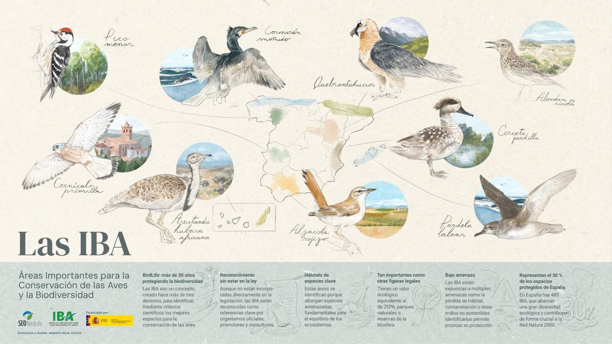 Infografía sobre las Áreas Importantes para la Conservación de las Aves y la Biodiversidad (IBA).