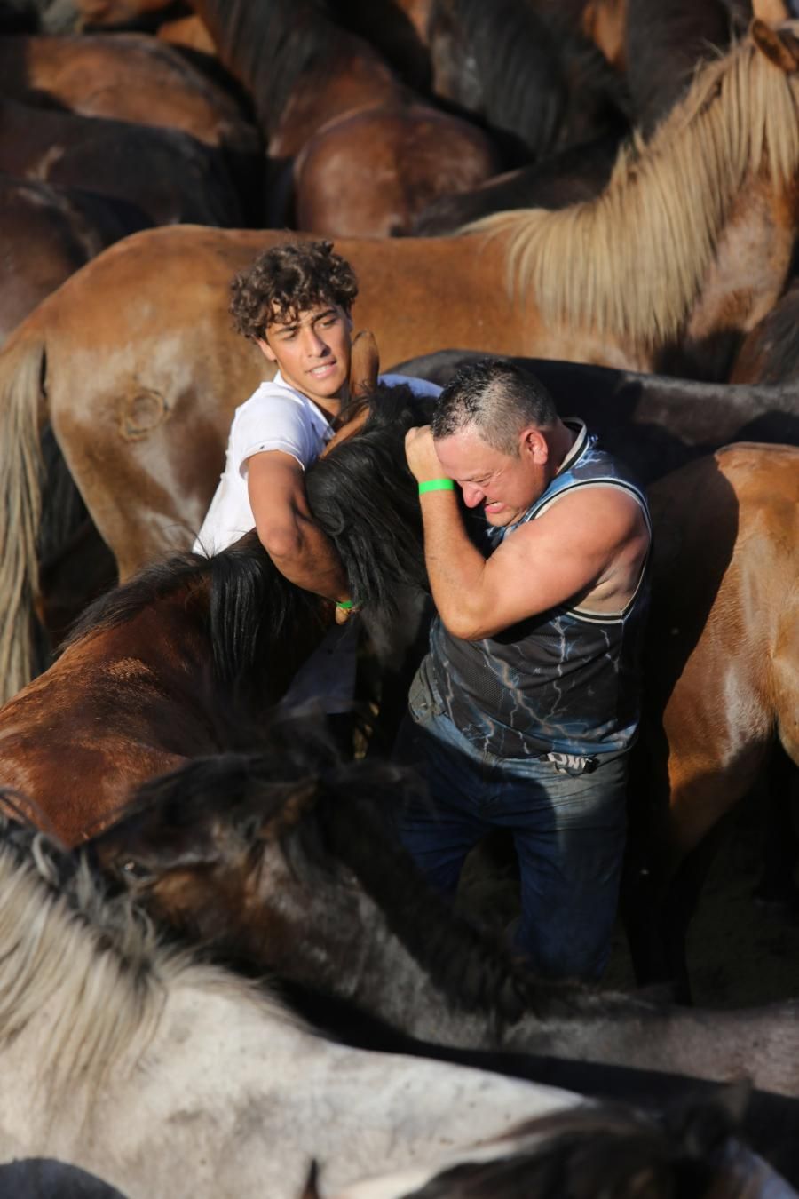Las imágenes de la Rapa das Bestas de Sabucedo