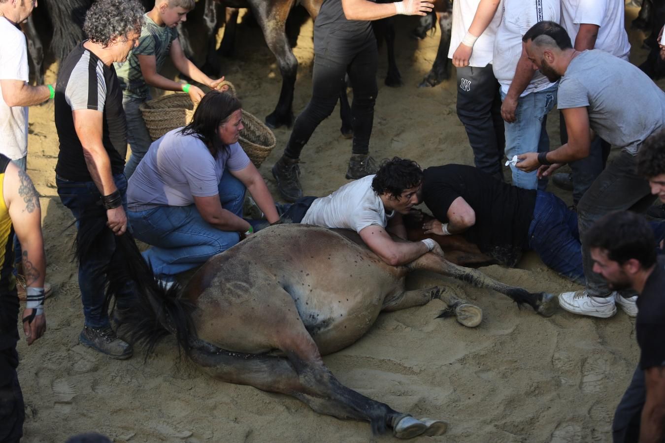 Las imágenes de la Rapa das Bestas de Sabucedo