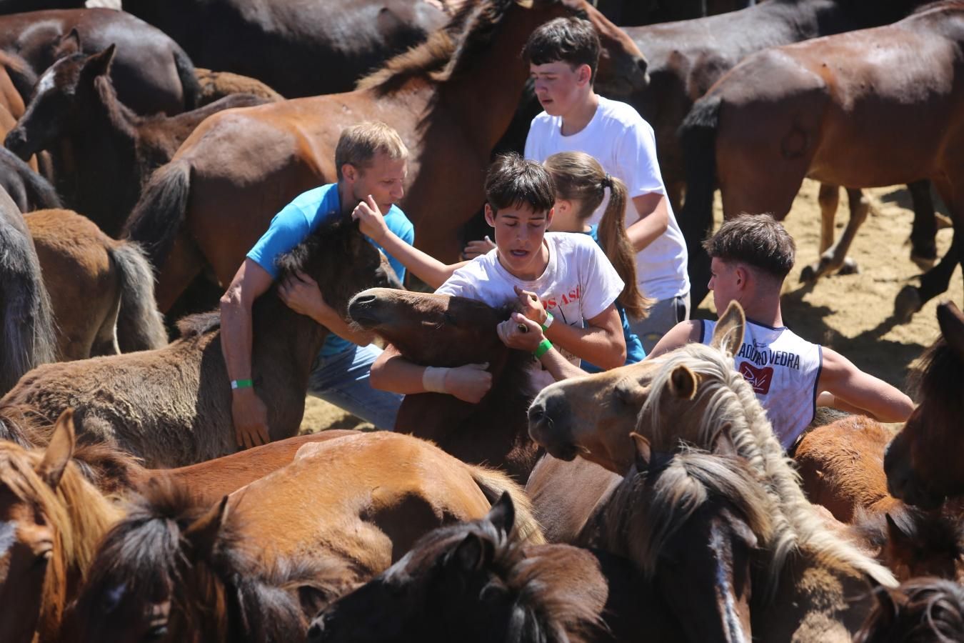 Las imágenes de la jornada de domingo de la Rapa das Bestas