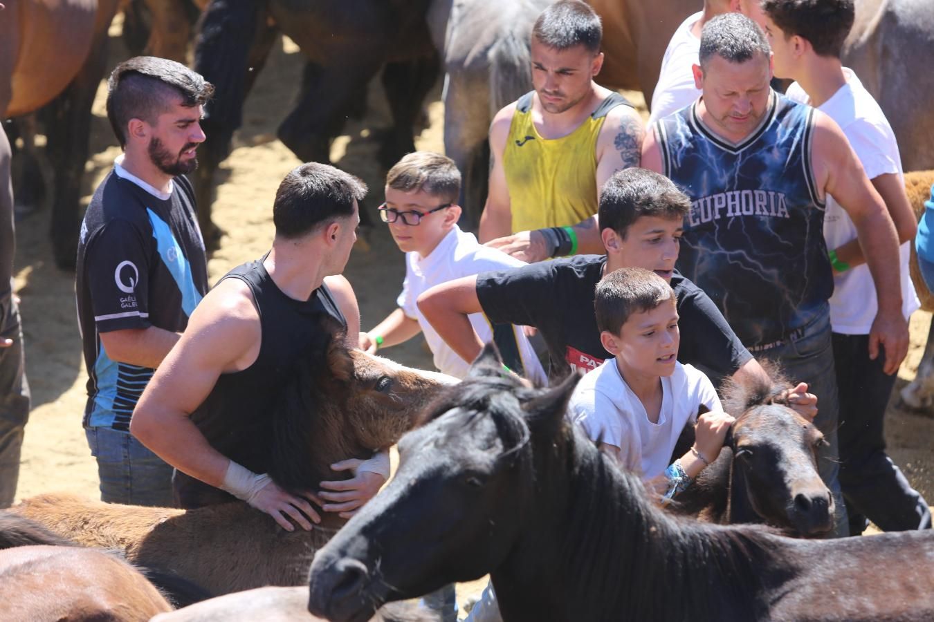 Las imágenes de la jornada de domingo de la Rapa das Bestas