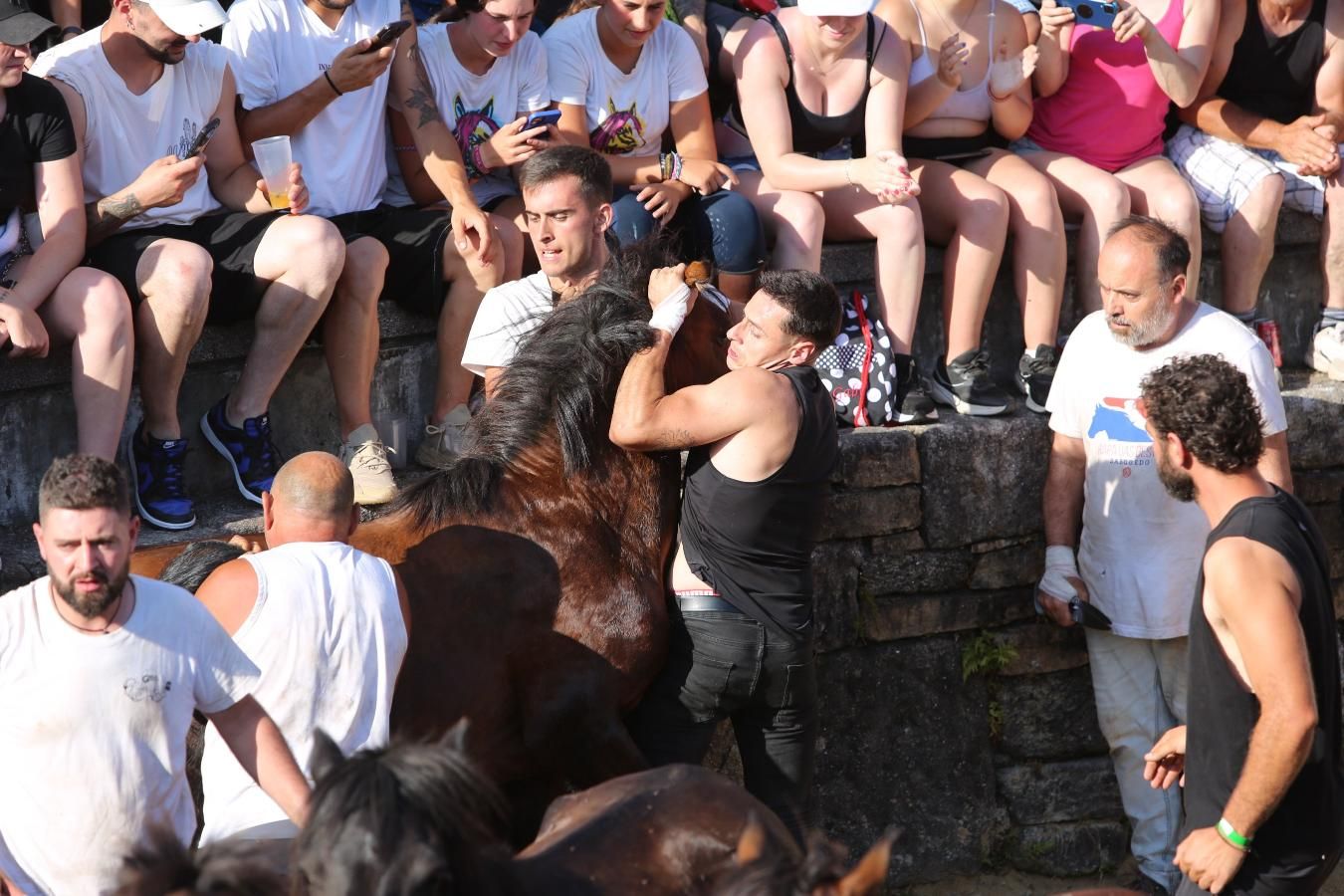 Las imágenes de la Rapa das Bestas de Sabucedo
