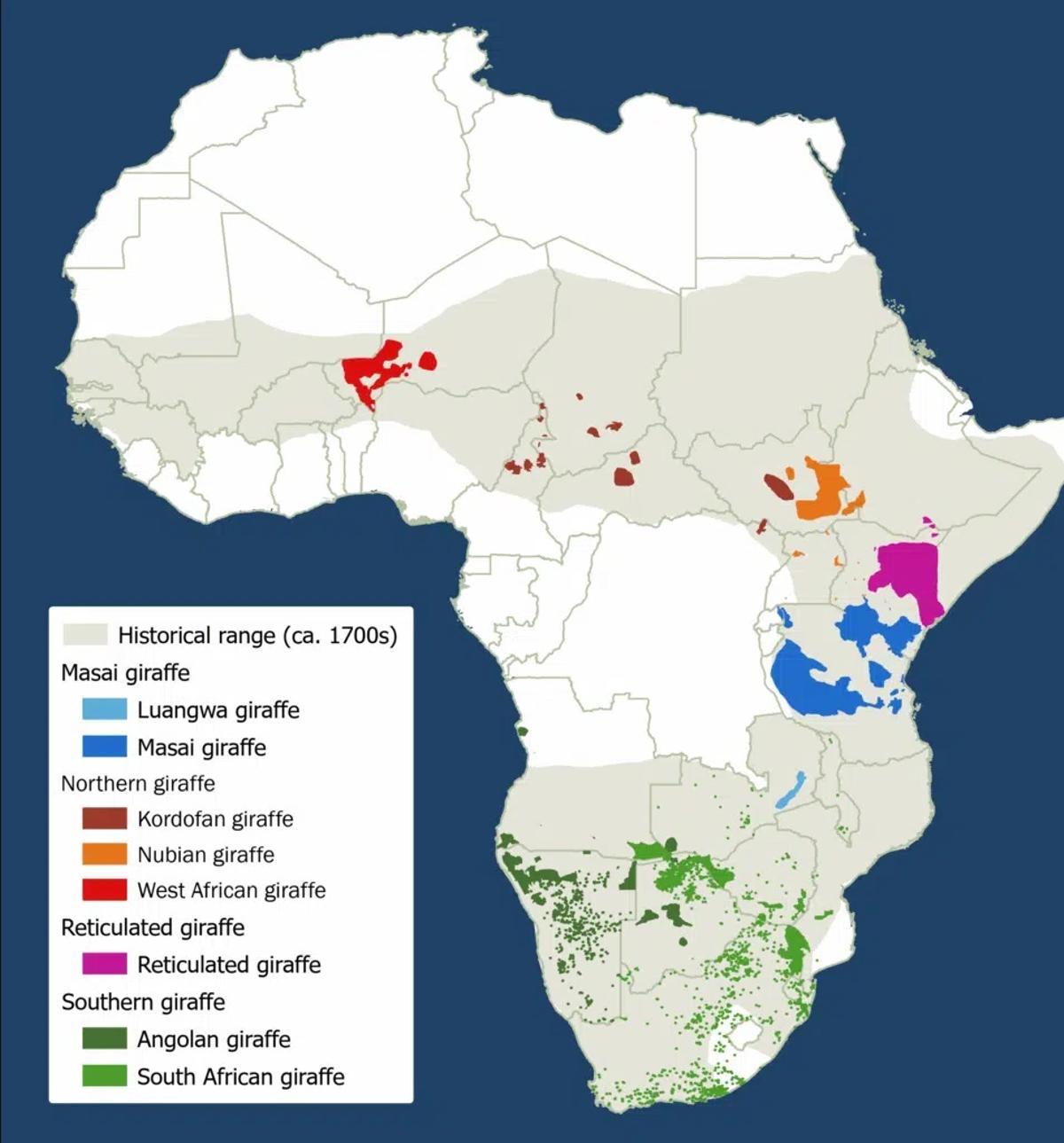 Distribución actual e histórica de la jirafa en África