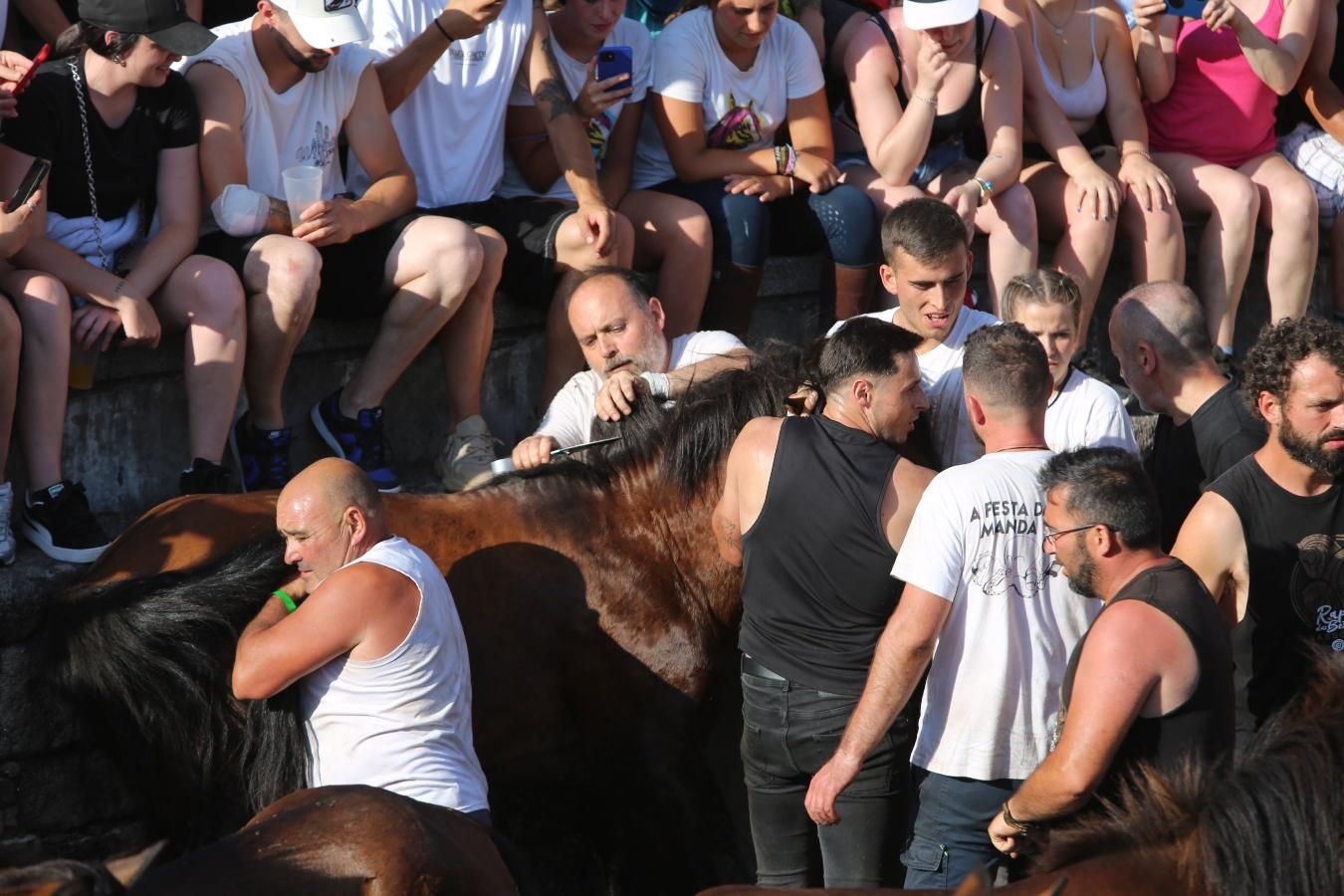 Las imágenes de la Rapa das Bestas de Sabucedo
